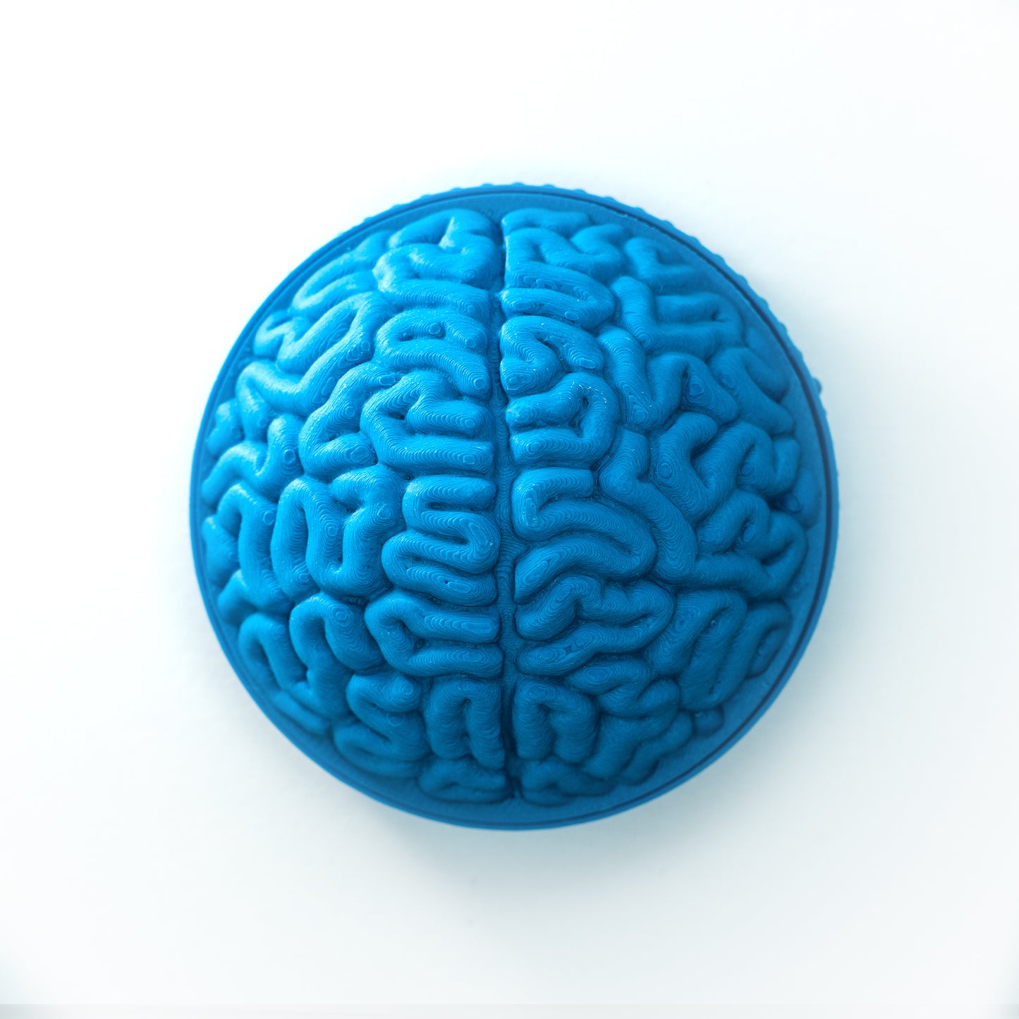 PhotoBomb™ Brain Re-Cap Rear Lens Cap