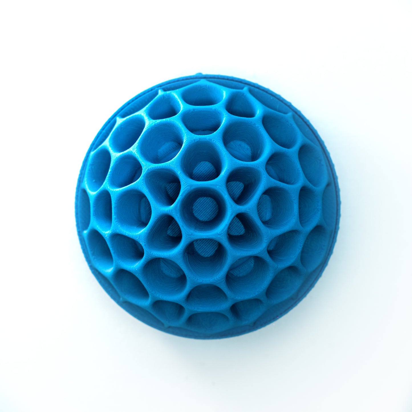 PhotoBomb™ Trypophobia Re-Cap Rear Lens Cap