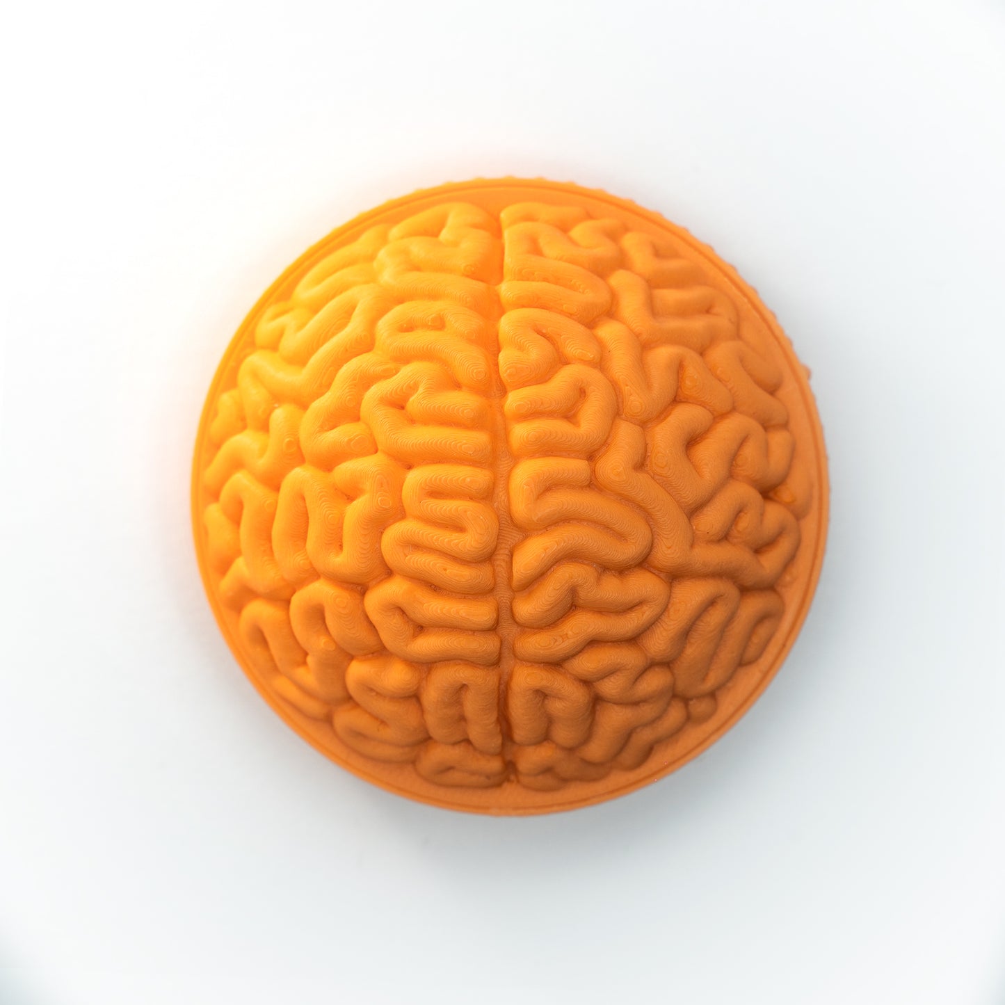 PhotoBomb™ Brain Re-Cap Camera Body Cap