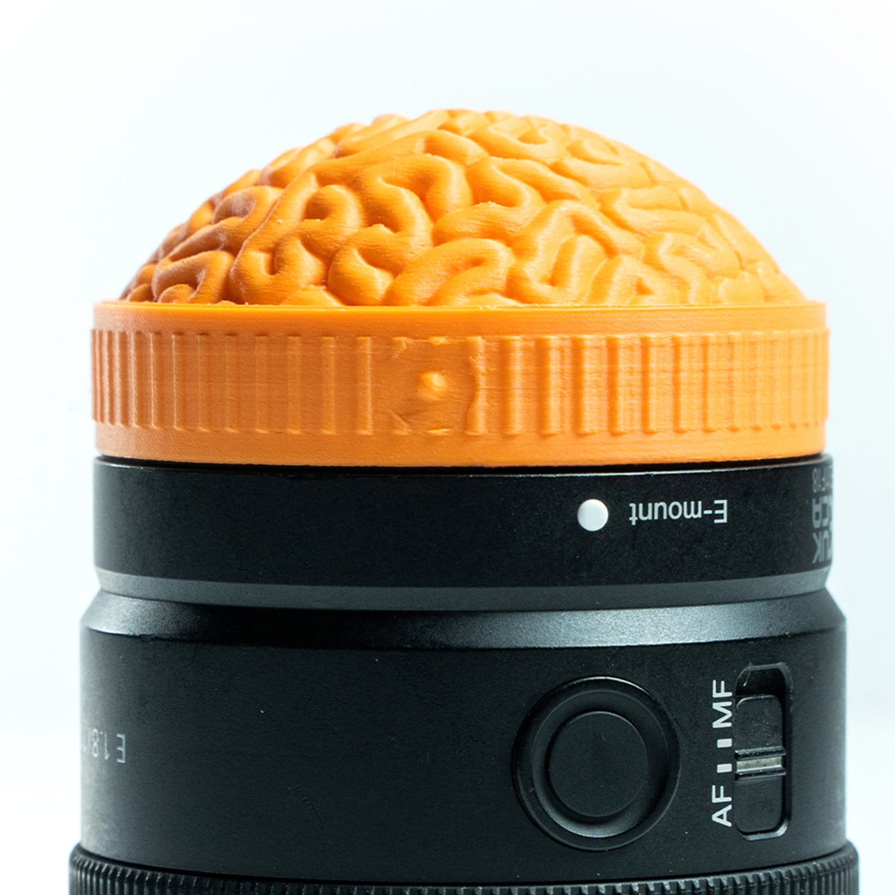 PhotoBomb™ Brain Re-Cap Rear Lens Cap