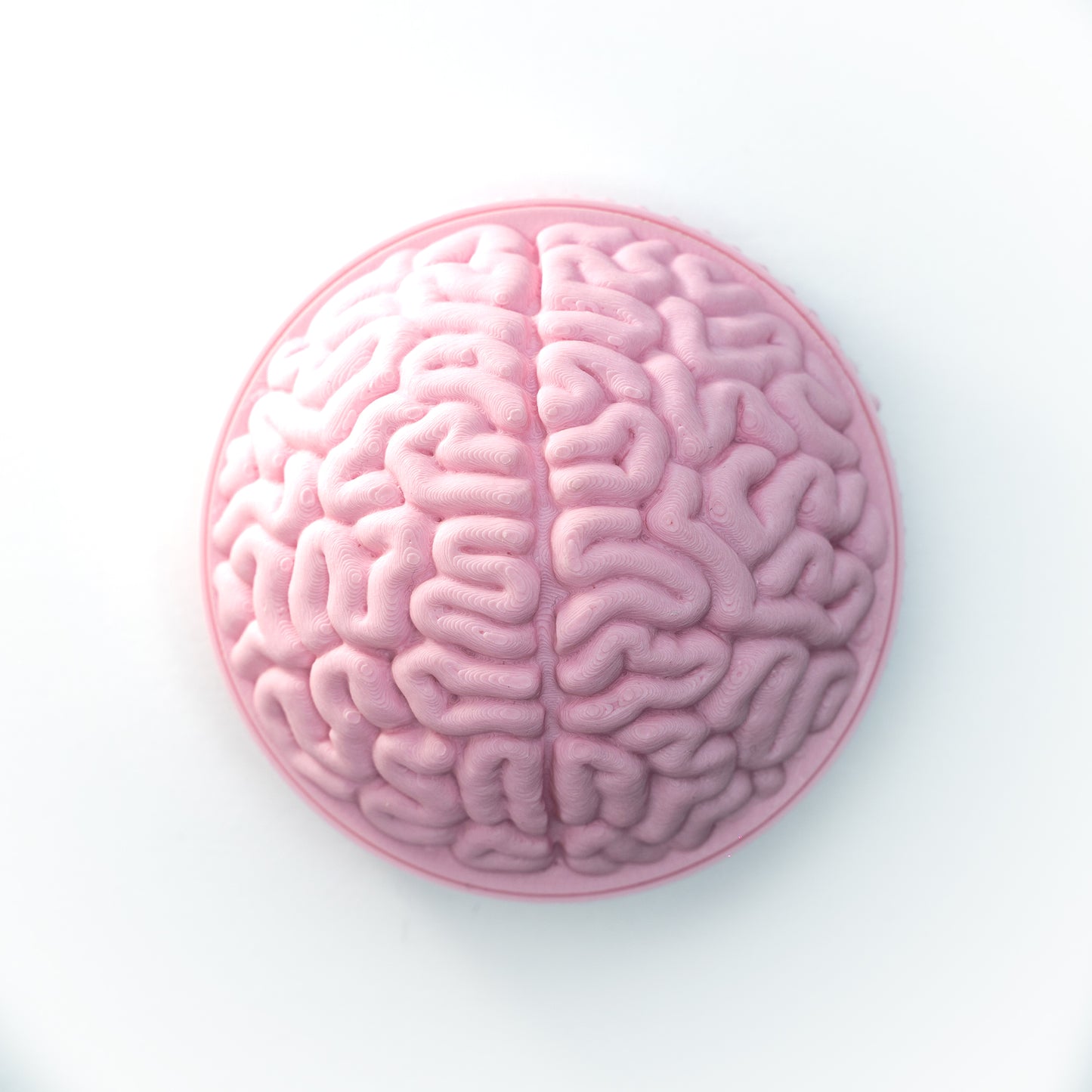 Brain Camera Body Cap
