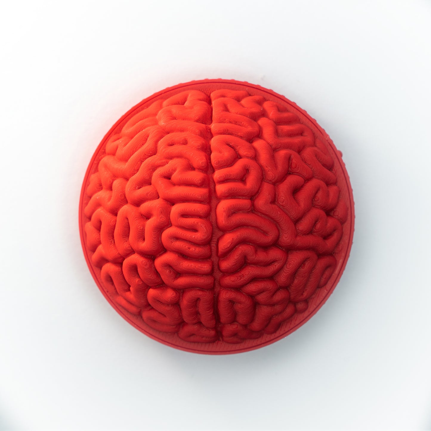 PhotoBomb™ Brain Re-Cap Camera Body Cap