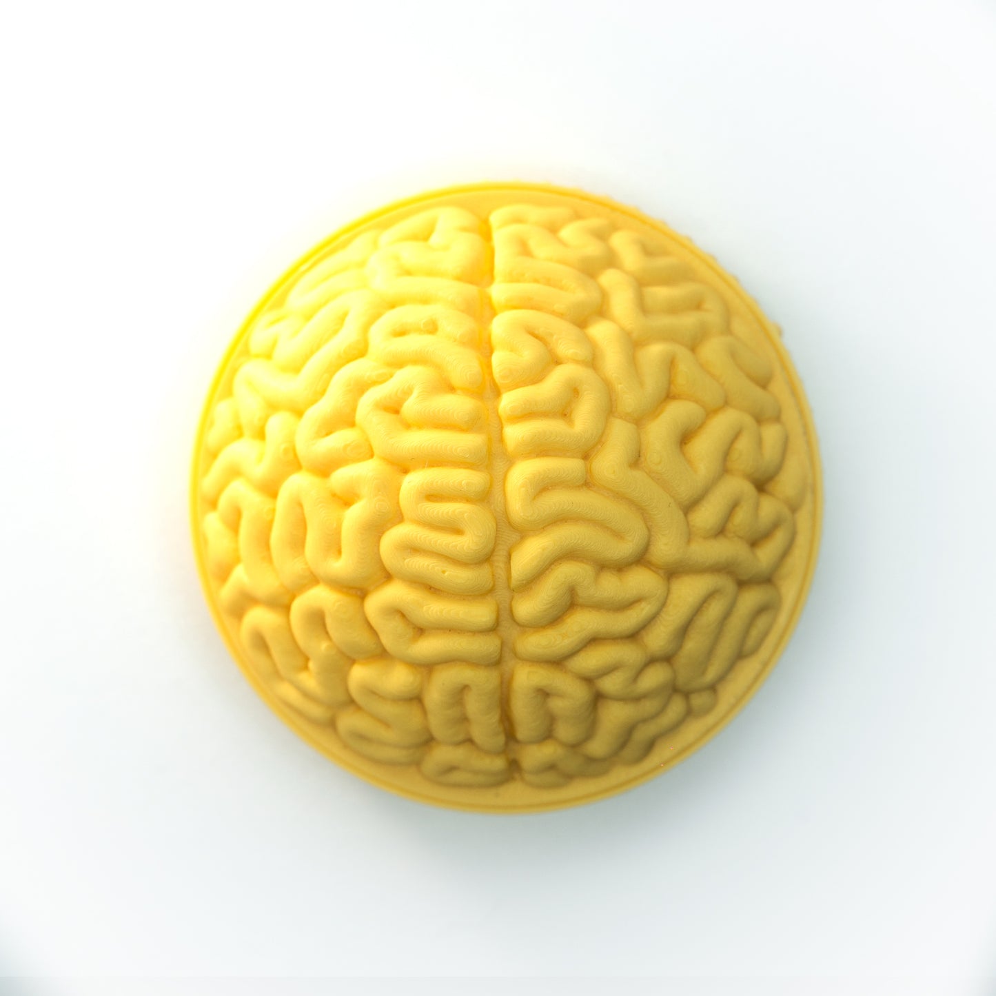 PhotoBomb™ Brain Re-Cap Rear Lens Cap